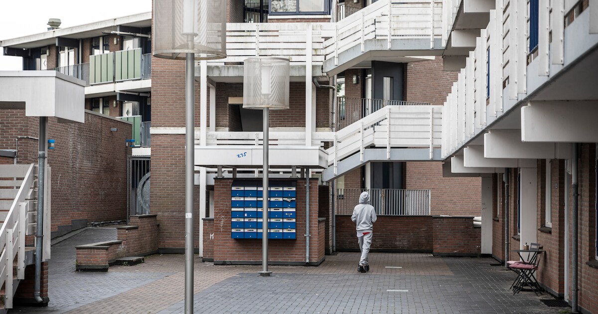 Bewoners Buytenwegh en Meerzicht juichen camera’s in de wijk toe: ‘Geeft rustgevend gevoel’