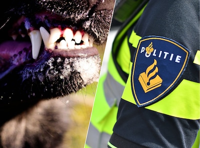 Agent raakt gewond, en het is niet bij spectaculaire achtervolging of aanhouding: ‘Zoiets simpels’