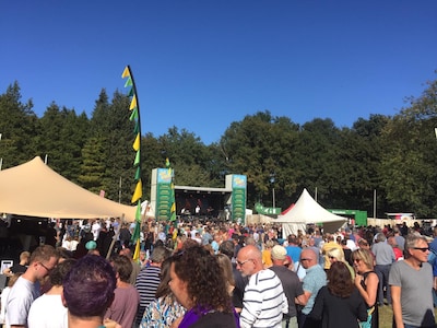 Een wondertje later: festival met tributeacts in Den Bosch zwaait af met allerlaatste editie