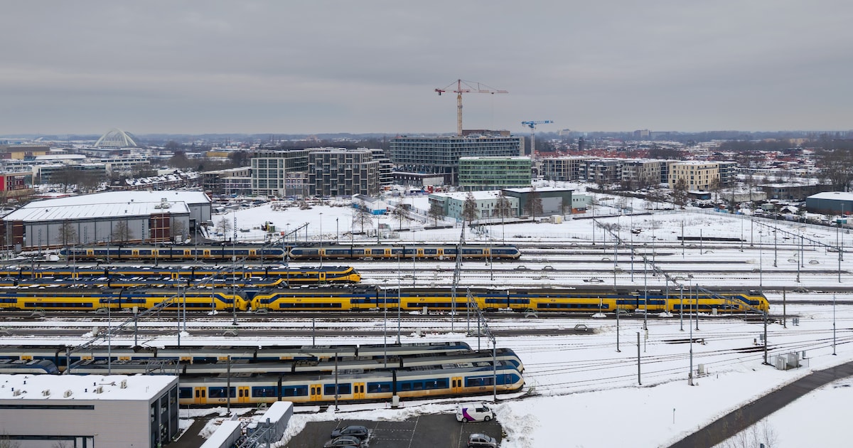 Afvalinzameling in meerdere Utrechtse gemeenten uitgesteld en minder treinen dit weekend wegens wint