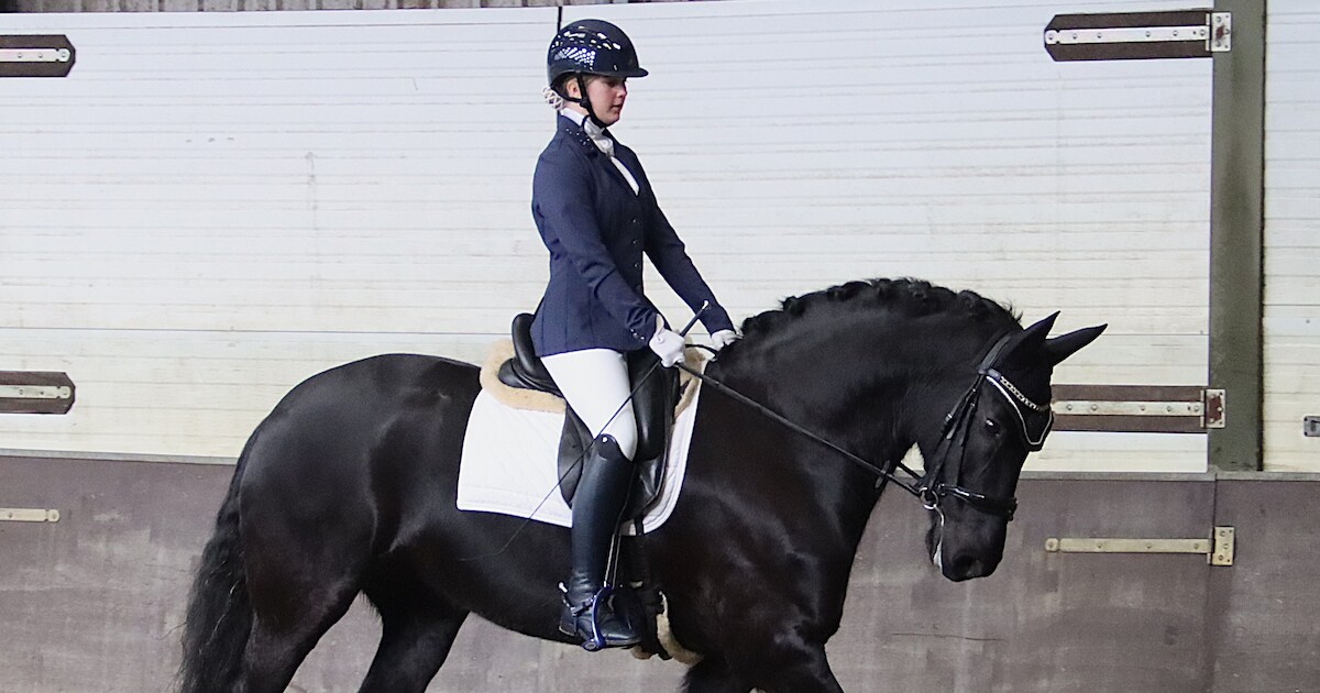 De oudere paarden laten zich zien in Heinkenszand: ‘Ze is nog topfit en bulkt nog van de energie’
