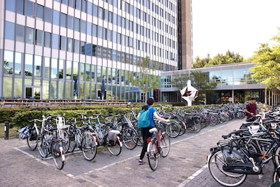 Image related to the article