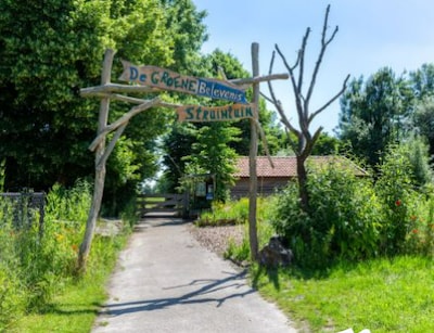 Utrechtse natuurcentra delen 24 januari vogelbosjes uit: maximaal vier boompjes per huishouden