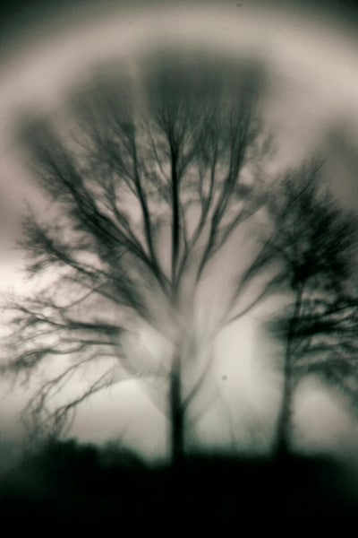 Drie fotografen exposeren ‘Winter’ in Stadsboerderij Grolle