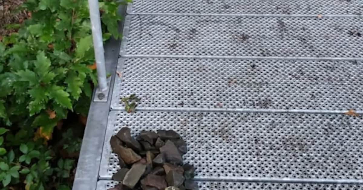 Incidentenbestrijder Emiel waarschuwt ouders in Deurne na stenen op spoor: ‘Dit schijnt dus grappig 