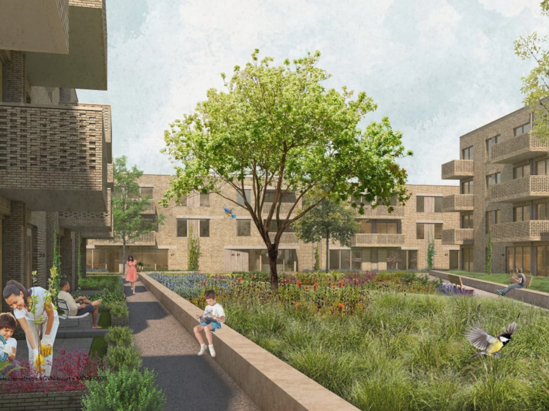 100 huizen met schimmel en tocht in Kruiskamp maken plaats voor 200 nieuwe appartementen: dit gaat er gebeuren