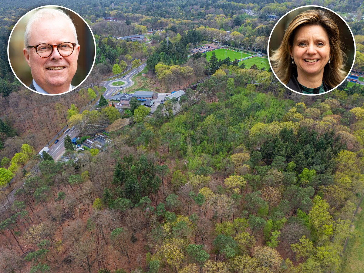 knvb-campus-in-zeist-vanuit-de-lucht-met-het-aangrenzende-bos-op-de-voorgrond