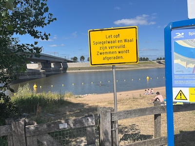 Spiegelwaal is vervuild, maar Swim to Fight Cancer gaat gewoon door: ‘Veiligheid voorop natuurlijk’