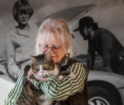 Image related to the article