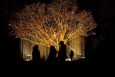 Weekendtips: deze dingen doe je in Rotterdam (7 – 9 november)