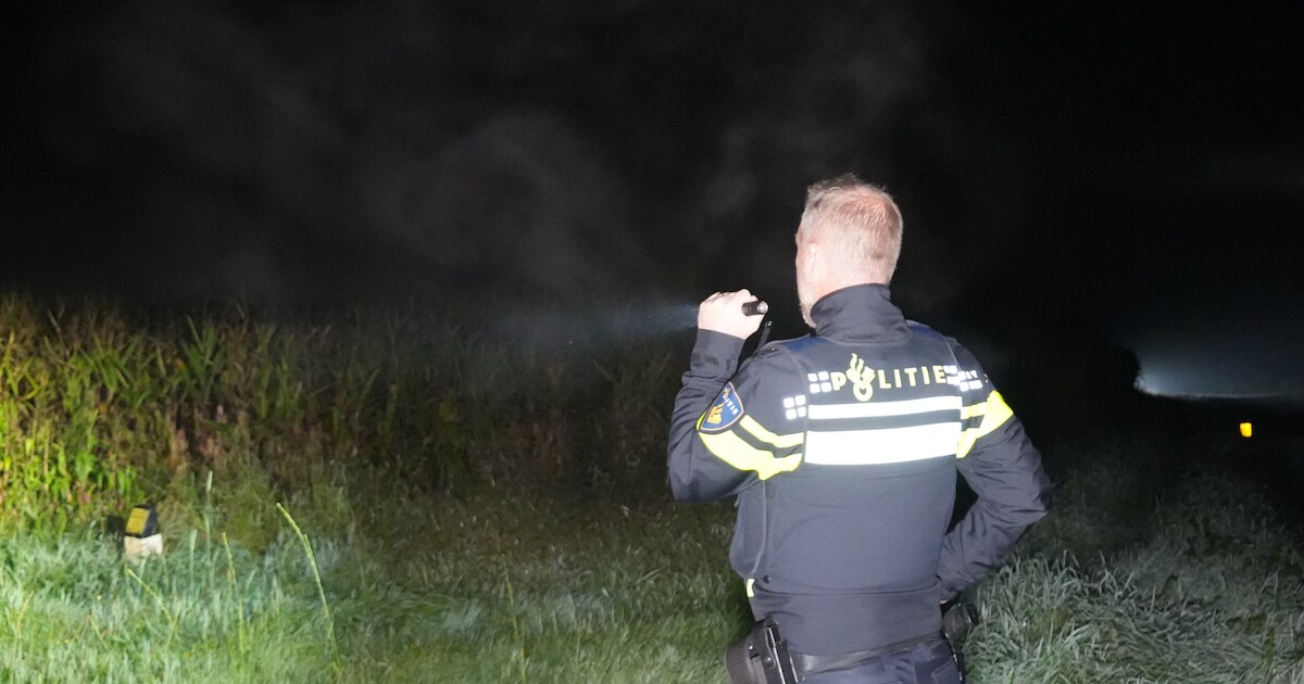 Vlucht in maïsveld tevergeefs: inbreker gesnapt in Meppel