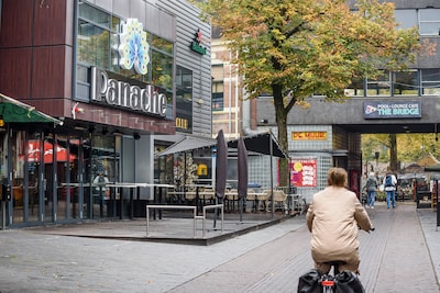 Image related to the article