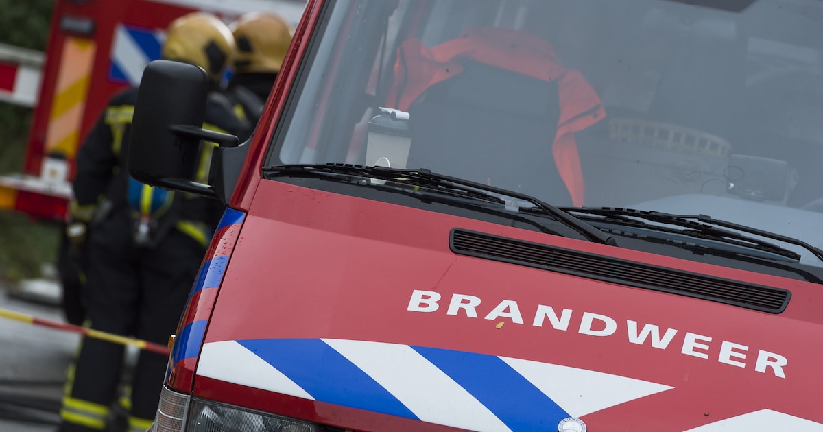 Broei in container bij bedrijf in Rotterdam