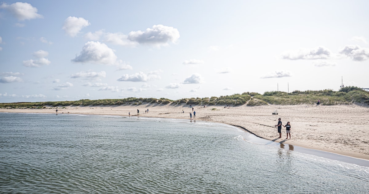 Lichaamsdelen die bijna drie jaar geleden aanspoelden op Texels strand blijken van Afghaanse vluchte