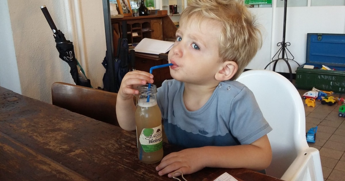 8 x kindvriendelijke restaurants in Delft