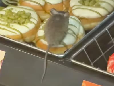 Klant filmt muis op donut bij Dunkin’ in Eindhoven en tikt miljoenen views aan