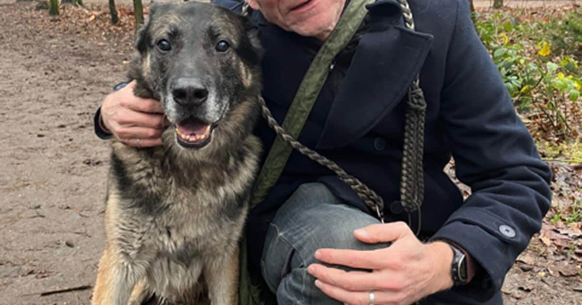 Nieuwe partij Groene Alliantie in Zeist: ‘Eerst de natuur, dan kijken naar ruimte om te bouwen’