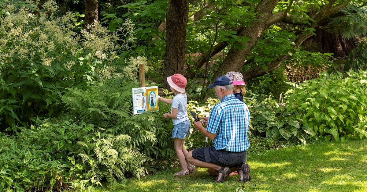 Herfstspeurtocht start in Arboretum Kalmthout