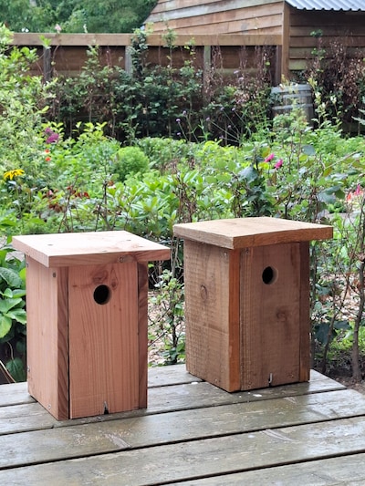 Kinderactiviteiten bij Natuurcentrum De Ginkel in Ede