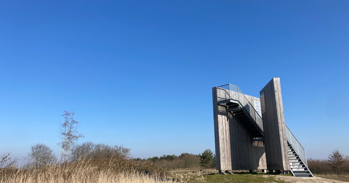 Illegale aanleg mountainbikeroute op voormalige stort Wekerom | Foto