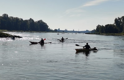Grootste kano-evenement afgezegd door laag water in de IJssel: ‘We vrezen voor de toekomst’