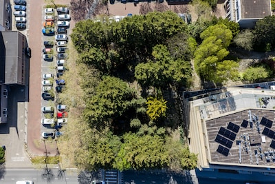 Erfgoedverenigingen vangen bot over begraafplaats Naaldwijk: ‘Een excuus om de rest ook op te ruimen