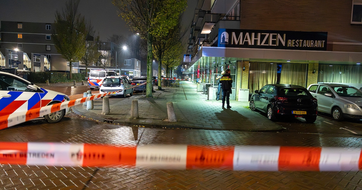 Vier aanhoudingen na gewapende straatroof in Haarlem