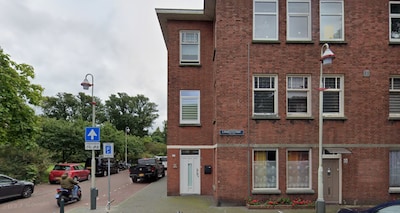 Moet je zien: dit Haagse huis vol afgezaagde bomen staat nu te koop