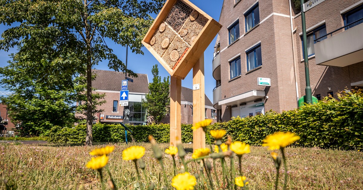 Meer groen bij Helpcenter Hersteltuin Schinnen: bomen en struiken geplant en bijenhotels geplaatst