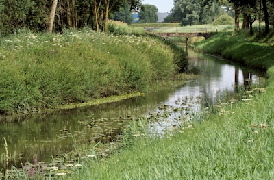 Image related to the article