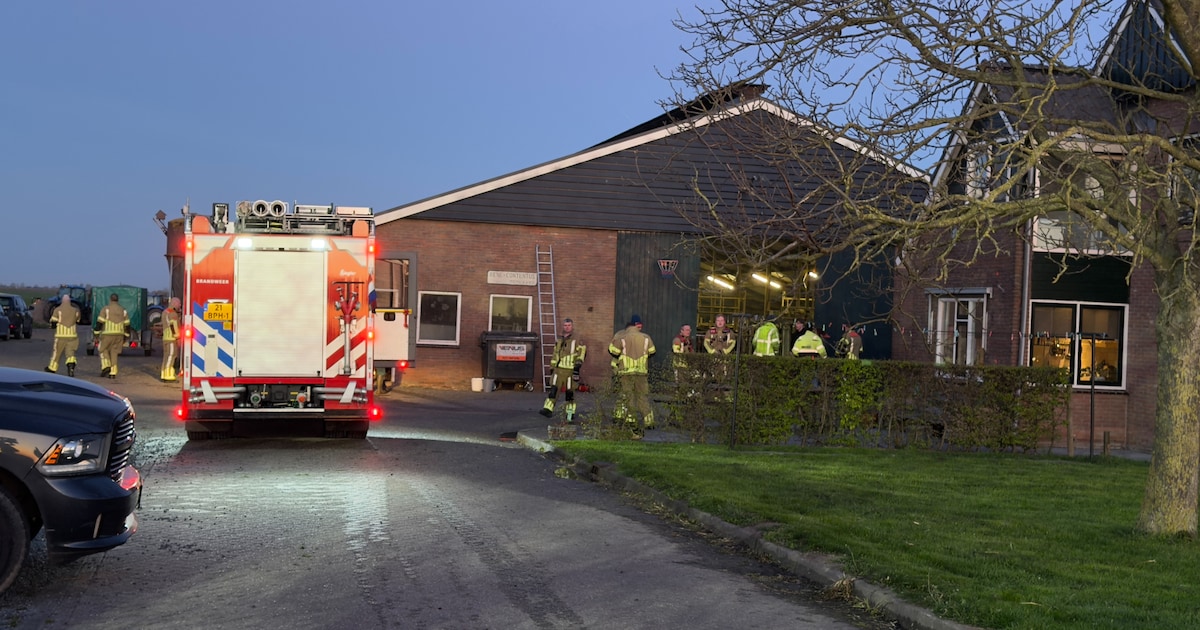 Geiten en schaap omgekomen bij stalbrand op Stuivenbergweg in IJsselstein