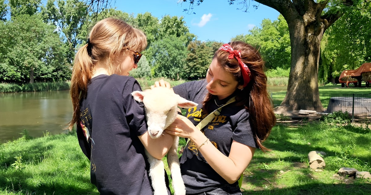 Zorgboerderij de Riederwaarde verhuist: groene haven voor jongvolwassenen met zorgvraag