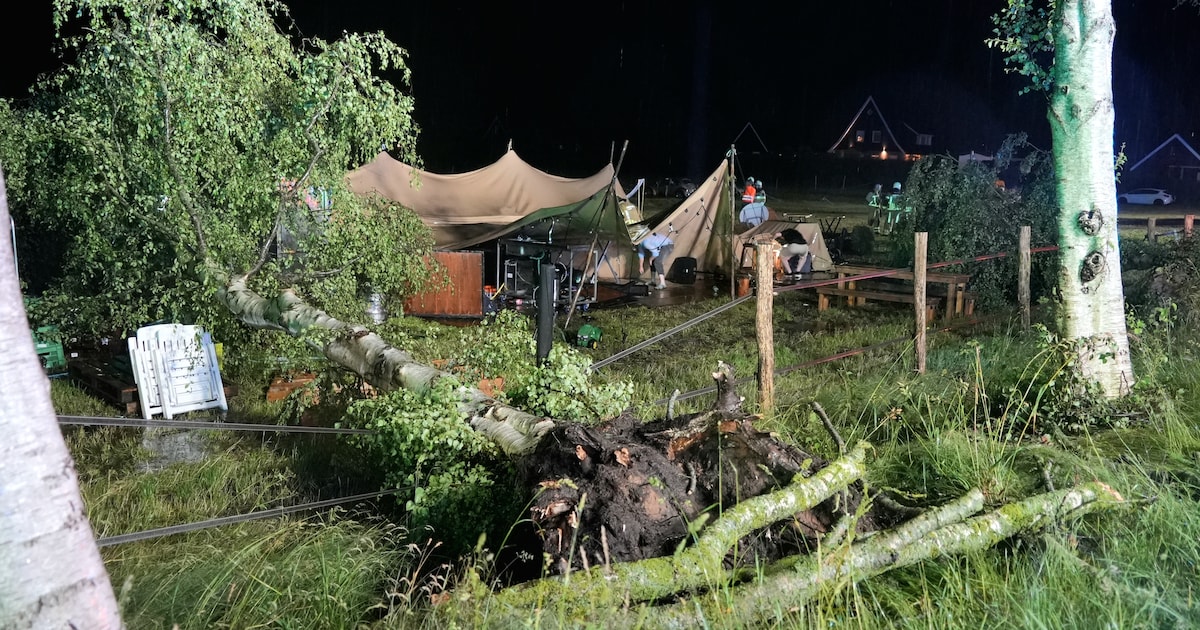 Meerdere gewonden nadat bomen op feesttent vallen tijdens bruiloft in Hollandscheveld