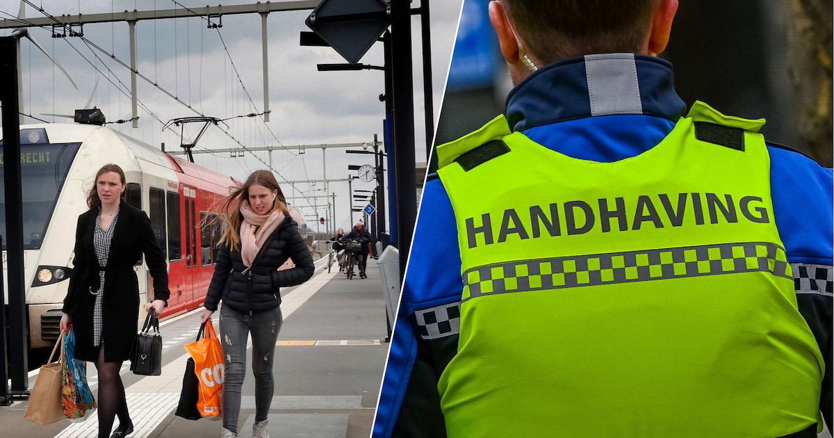 Meerdere boa’s mishandeld en gewond geraakt op station Boven Hardinxveld
