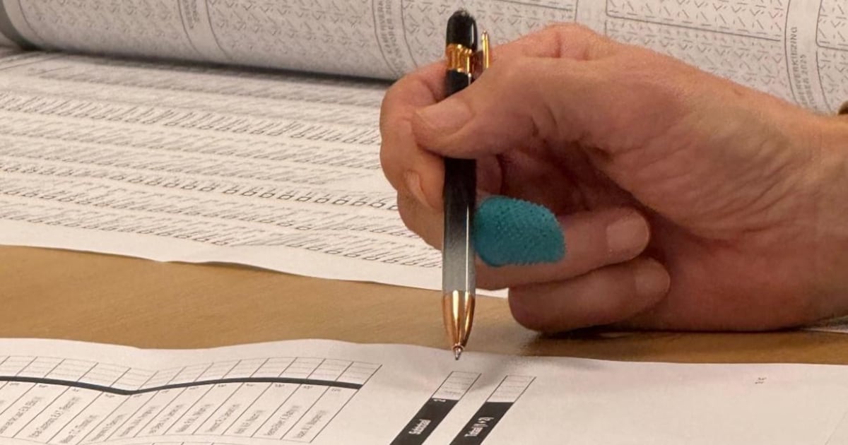 Haarlem zoekt voorzitters voor stembureaus gemeenteraadsverkiezingen