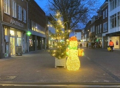 ‘Kleine snotblagen’ jatten grote, dure sneeuwpop uit hartje Tiel, wethouder boos: ‘Stond er verdomme