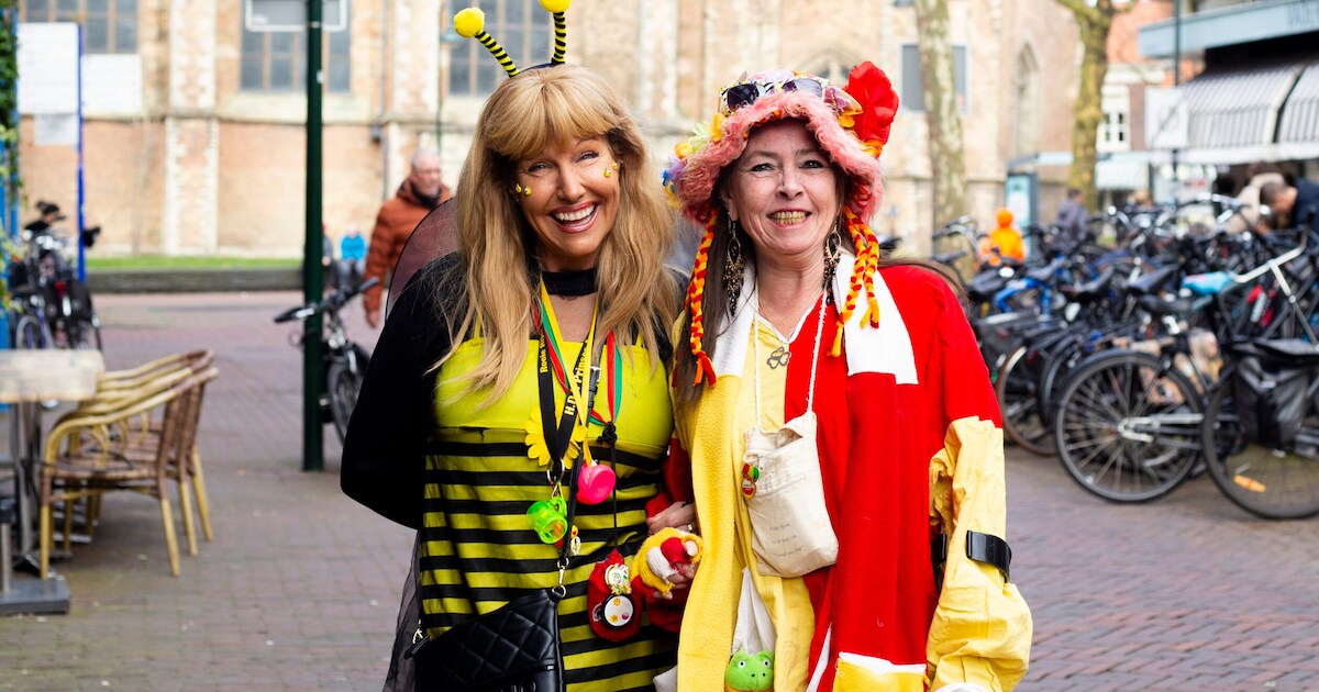 Carnaval 2026 in Delft: dit is het programma | Regio | AD.nl