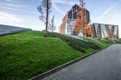 Jongeman (19) springt dronken voor auto’s in en haalt vouwmes boven bij arrestatie: “Ze aanvallen? N