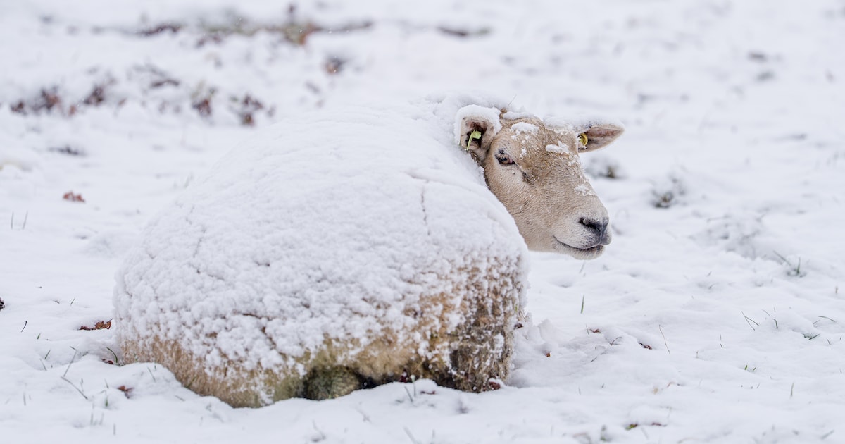 Gemeentehuis Achtkarspelen sluit door slecht weer