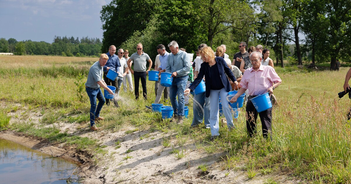 Megaklus van 30 jaar zit erop: riviertje stroomt weer als vanouds langs Valkenswaard, met meer ruimt