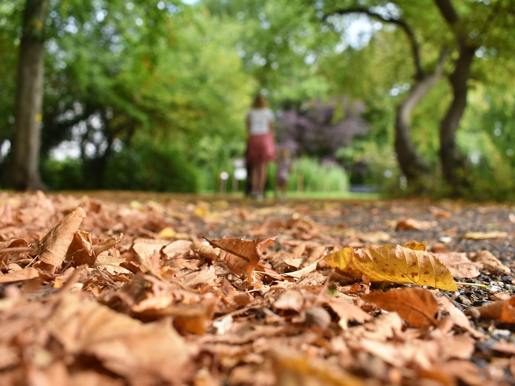 Blijft het rustig en droog? Dit is de weersverwachting voor oktober