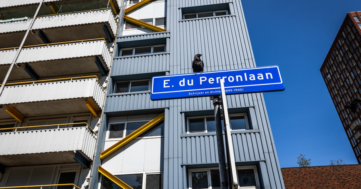 Rechter zet Jurjen (58) en zijn vrouw (60) uit hun Delftse flat: Duwo mag 160 studentenkamers maken