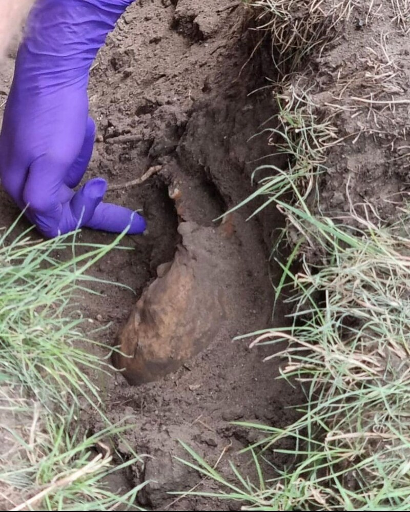 In een achtertuin aan de Snoeckgensheuvel in Amersfoort hebben konijnen van bewoners lichaamsresten van zeker drie personen gevonden.