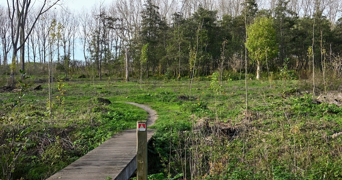 Winterwandeling van 6,5 km: rust en natuur in de Vlaardingse ...