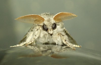 Image related to the article