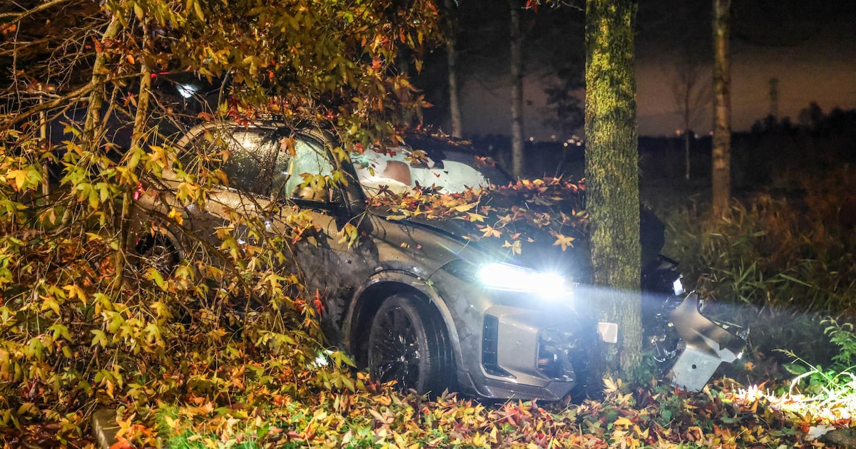 Auto crasht tegen boom in Neerduist