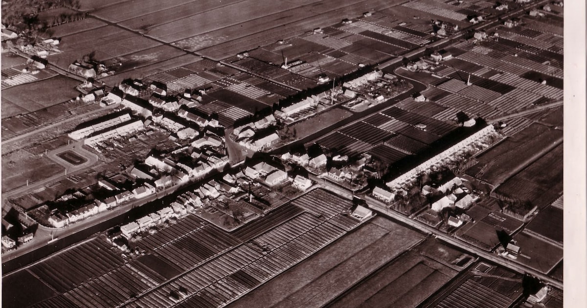 Oud-Delfgauw was ooit hecht, maar nu zijn er ruzies en explosies: ‘Ze lopen je straal voorbij als je