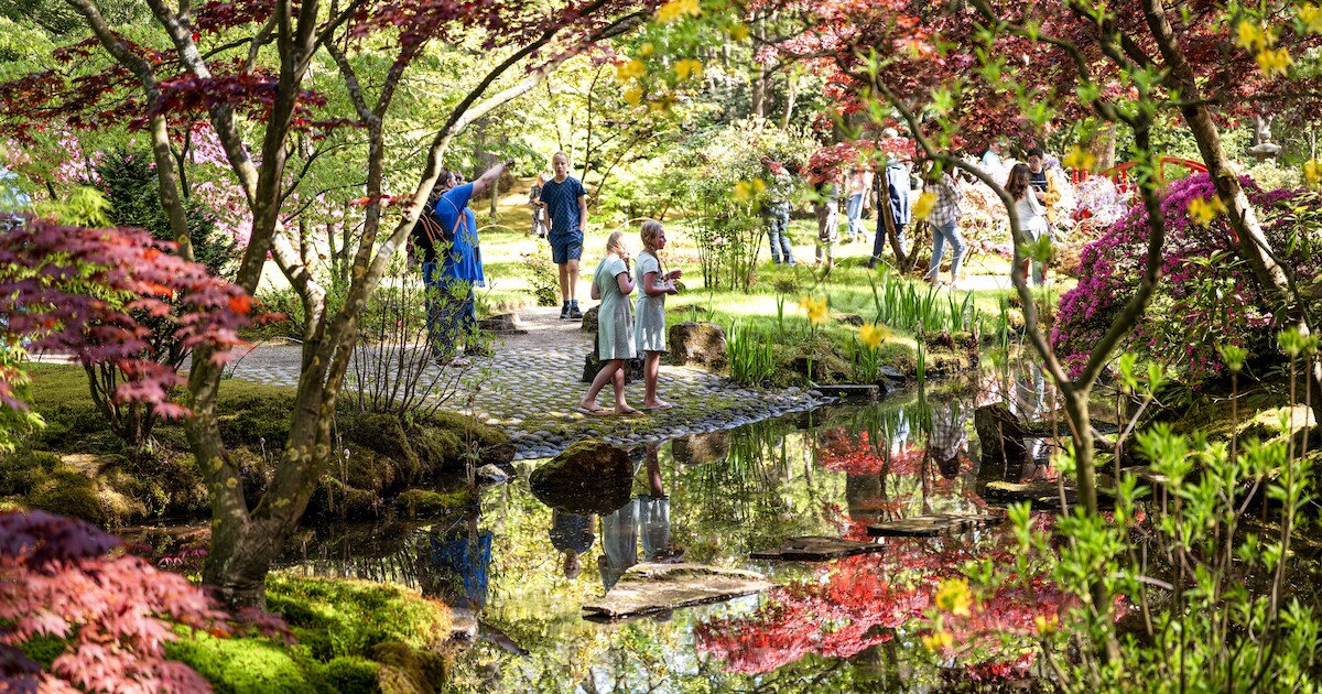 In deze tuin waan je jezelf ineens 9000 kilometer verderop