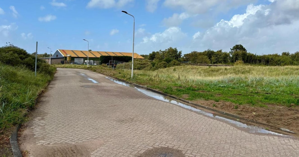 Geen woonunits voor Oekraïense vluchtelingen in Zandvoort vanwege stikstof