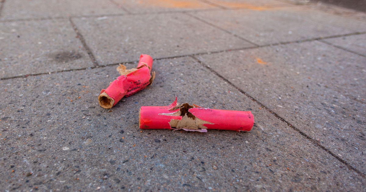 Vuurwerkvrije zones in gemeente Geertruidenberg